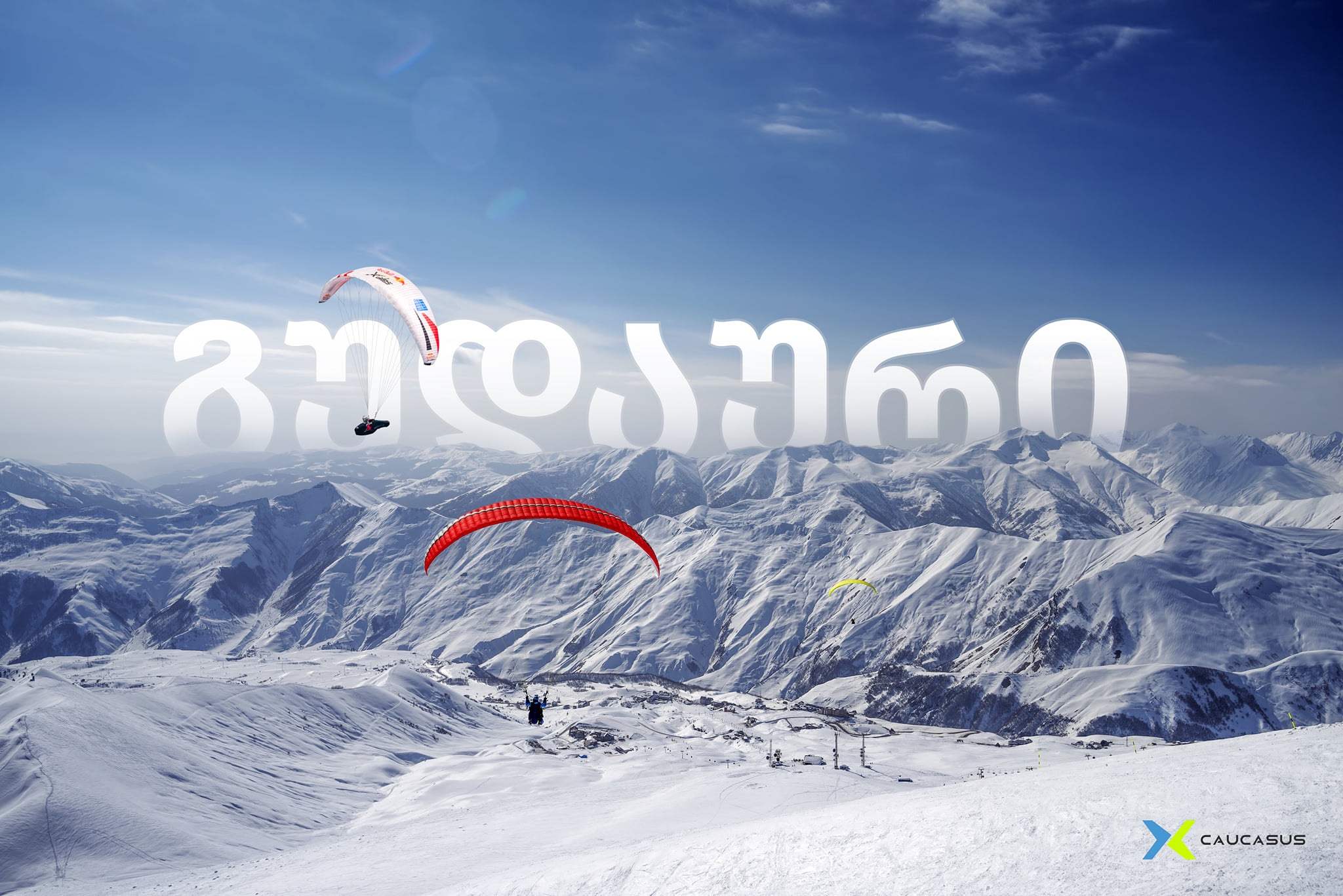 ლაშა ჯაფავა